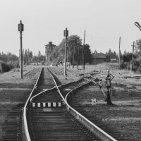 Каждый сам выбирает свой путь. :: Андрей Неуймин