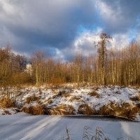 Подмосковный декабрь 4 :: Андрей Дворников