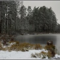 Декабрь :: Aleksandr Gal