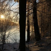 Чародейкою Зимою оклдован, лес стоит... :: Ольга Чародейкою Зимою оклдован, лес стоит... :: Ольга