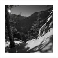 * :: Александр Иванов