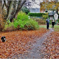 НА ПРОГУЛКЕ... :: Elvira E. НА ПРОГУЛКЕ... :: Elvira E.