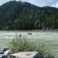 Рафтинг на Катуни . :: Мила Бовкун