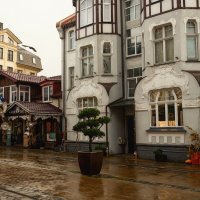 ... :: Лилия . ... :: Лилия .