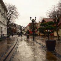 Прусская архитектура :: Лилия . Прусская архитектура :: Лилия .