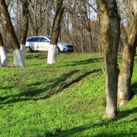 Декабрь... а зелёная травка, как в марте :: Татьяна Смоляниченко