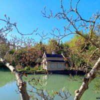 Адлер. Дендропарк "Южные культуры" :: Нина Бутко Адлер. Дендропарк "Южные культуры" :: Нина Бутко