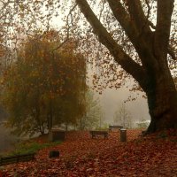 Туман в осеннем парке :: Юрий. Шмаков