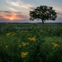 Вспоминая лето :: Ирина