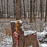 В гостях у... Лешего! :: Валентина Нефёдова В гостях у... Лешего! :: Валентина Нефёдова