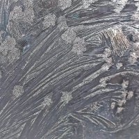 Цветы от Деда Мороза. :: Валентина Нефёдова Цветы от Деда Мороза. :: Валентина Нефёдова