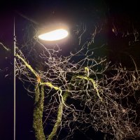 Под фонарем :: Любовь 