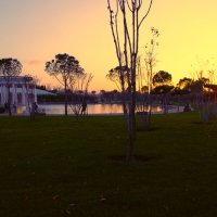 Что, то хочиться слонов! :: Юрий Полторыхин.