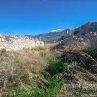 Трава забвенья :: **** vedin