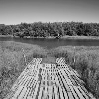 Фотография :: Денис Безногов Фотография :: Денис Безногов