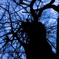 комок нервов) :: Артём 