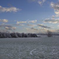 Озимка. :: Александр. AVG100 --- Озимка. :: Александр. AVG100 ---