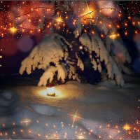 Зимняя сказка ... :: Валентина Надсон