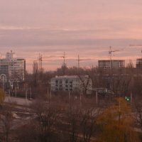 розовый рассвет :: Лера 