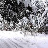 зима :: Александр 
