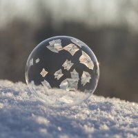 Пузырь :: Андрей Пристяжнюк