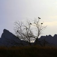 Театр теней :: Геннадий Валеев Театр теней :: Геннадий Валеев