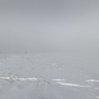 Туман :: Anna Ivanova Туман :: Anna Ivanova