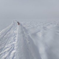 Мороз :: Anna Ivanova Мороз :: Anna Ivanova