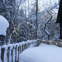 "Заколдован невидимкой, дремлет лес под сказку сна" :: Ирэн 