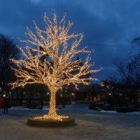 Новогодние украшения города :: Aida10 