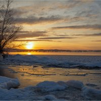 **** :: Алексей Мезенцев