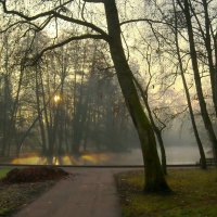 Утро восемнадцатого декабря :: Юрий. Шмаков