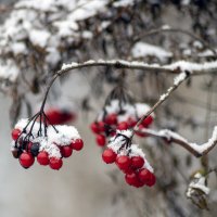 С утеплением :: sorovey Sol