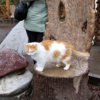 Хозяйка трона. :: Ирина ***