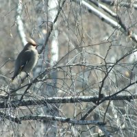 *** :: Сергей Сергеев