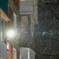 Декабрьский дождь. :: Жора Житников Декабрьский дождь. :: Жора Житников