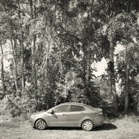 Фотография :: Денис Безногов Фотография :: Денис Безногов