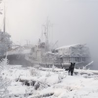 Морозные корабли :: Марина Фомина.