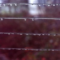 Капельки :: Юрий Гайворонскiий