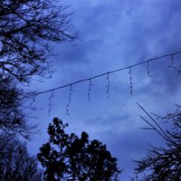 Украшение к Новому году :: Юрий Гайворонскiий