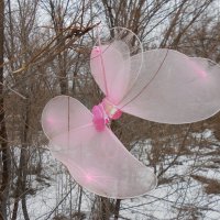 ......... :: Елена Шаламова ......... :: Елена Шаламова