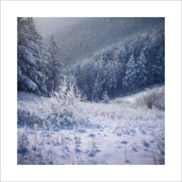 * :: Александр Иванов