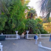 Адлер. Дендропарк "Южные культуры" :: Нина Бутко