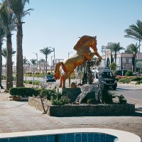 Символ нового года у входа в отель:SEA BEACH :: Игорь Солдаткин