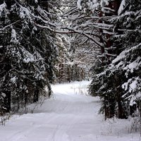 *** :: Александр 