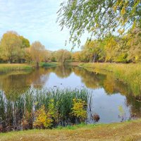 Парк Воронежские озера в Самаре :: Надежда 