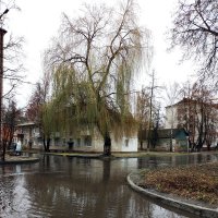 *** :: Валентина Береснева