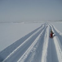 Зимние прогулки :: Anna Ivanova