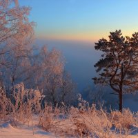 Морозный рассвет над Обью :: елена беликова