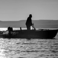 Ч Б графика или дачный монохром :: Сергей В